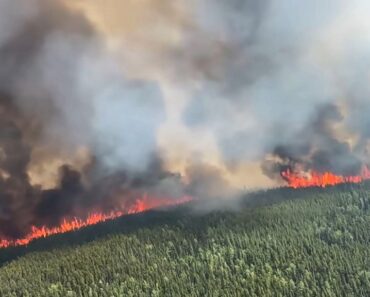 Fire in Canada: Fires intensify again