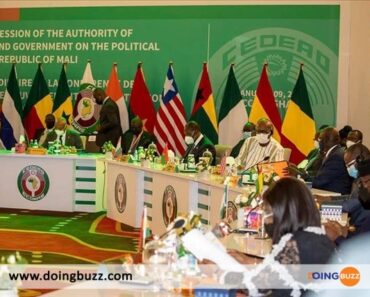 Exceptional Summit of ECOWAS Leaders in Abuja Following the Coup in Niger