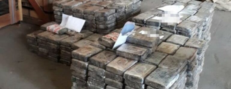 SECONDE SAISIE DROGUELa saisie fait plus 750 kilos cocaine