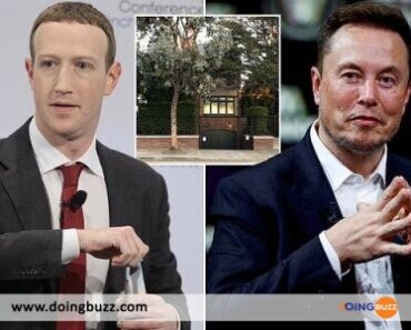 Elon Musk At Mark Zuckerberg For The Fight