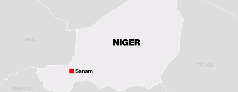 carte niger sanam