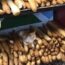 Image of cat sitting on pile of bread sticks for sale sparks outrage across the web in Senegal