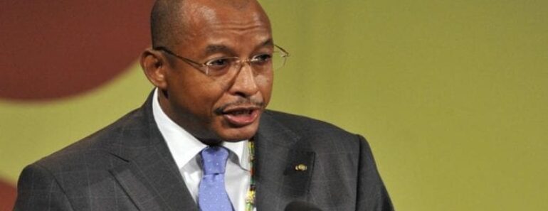 Afrique NEPAD devient lAgence de developpement UA